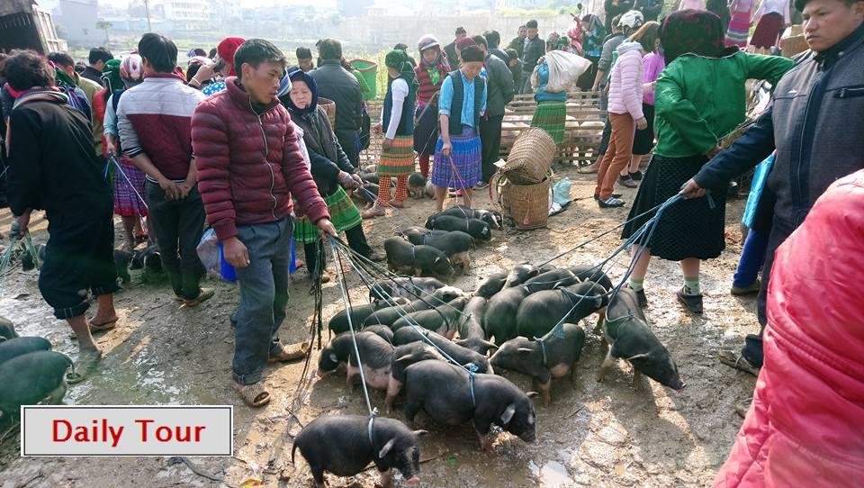 Ha Giang Amazing Hostel Экстерьер фото